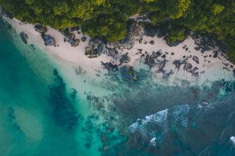 Beach Marine biodiversity