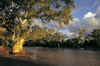 Indigenous River Rangers Program ARC Centre of Excellence for Indigenous & Environmental Histories & Futures (CIEHF)