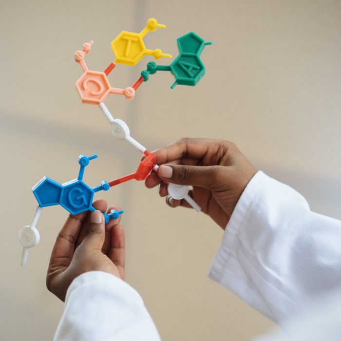 Chemical model Chemist holding molecule model in hands
