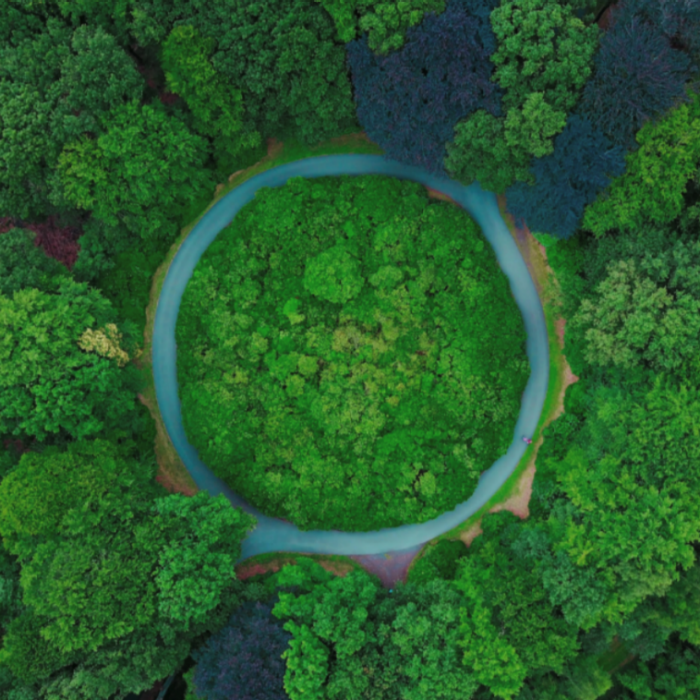 Roundabout in the middle of a forest Roundabout in the middle of a forest
