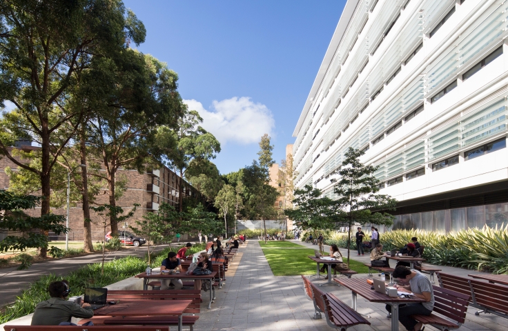 phd unsw business school