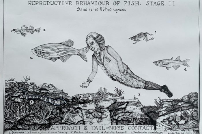 Amelia van der Laan de Vries' fish artwork