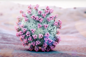 Short course: Foundations of 3D Biomedical Animation