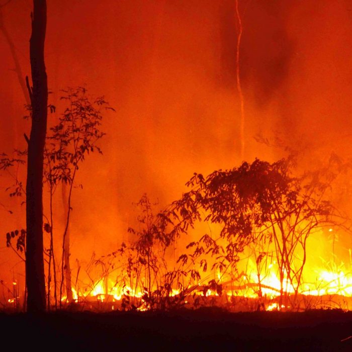 Image of a bush fire