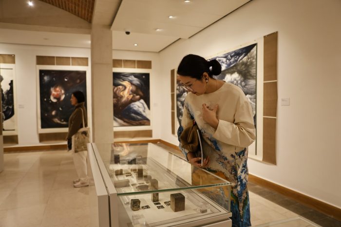 Audience looking at seals at the exhibition 'Strange Wonder'