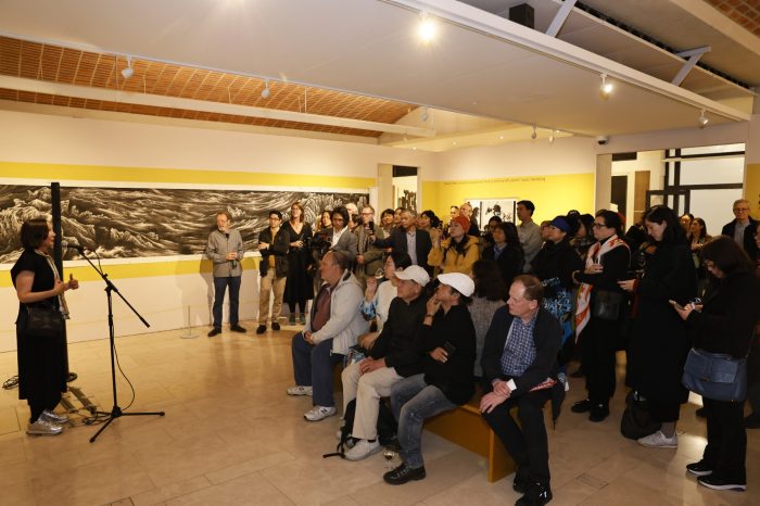 Audience at the exhibition 'Strange Wonders'