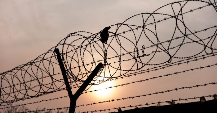 Global study reveals disparities in prisoner health studies