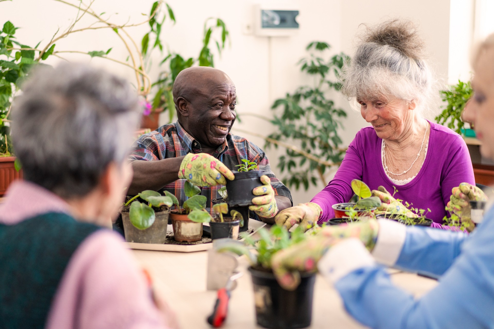 Social connections and daily habits play a vital role in reducing dementia risk, UNSW research finds.