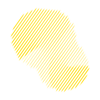 UNSW round house shape with raster lines in yellow