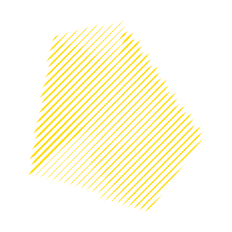 UNSW Sirf shape with raster lines in yellow