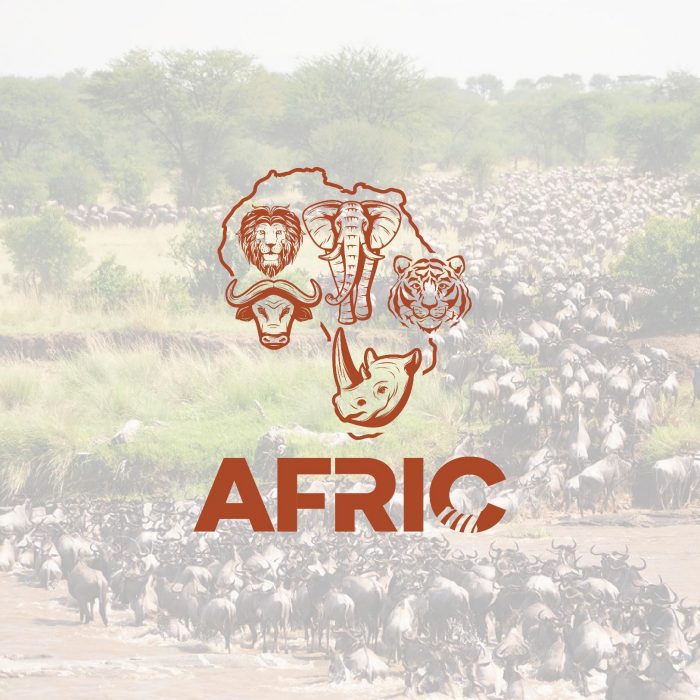 AFRIC 2 logo