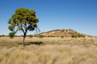 Image of the Australian outback.