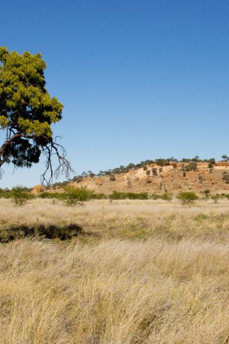 Image of the Australian outback.