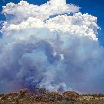 Western Australia – bush fire at the outback desert at Nullarbor Plain with high clouds of smoke and cumulus 