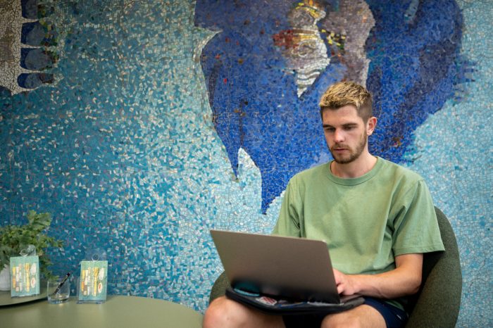 A student looking at their laptop with a mosaic wall behind them