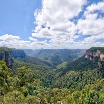 Protect, restore and promote sustainable use of terrestrial ecosystems, sustainably manage forests, combat desertification, and halt and reverse land degradation and halt biodiversity loss