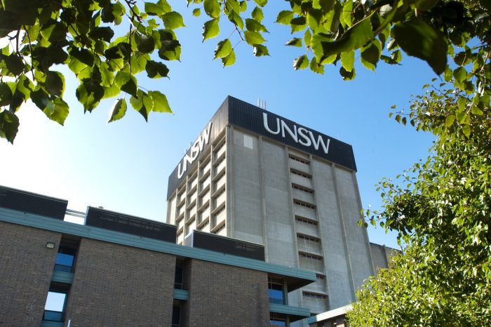 View from near ground level looks up at clear blue sky, framed by green tree leaves in foreground and one lower building in one corener. Library tower building with UNSW in white lettering at the top appears above in the centre.