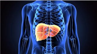 x-ray style graphic of liver