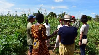 Drought Resistance Uganda (DRU)