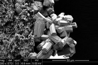 Mass and heat transfer in submerged vacuum membrane distillation and crystallization