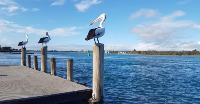 Climate change in NSW estuaries | Water Research Laboratory - UNSW Sydney