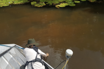 Tuckean Swamp drainage options study