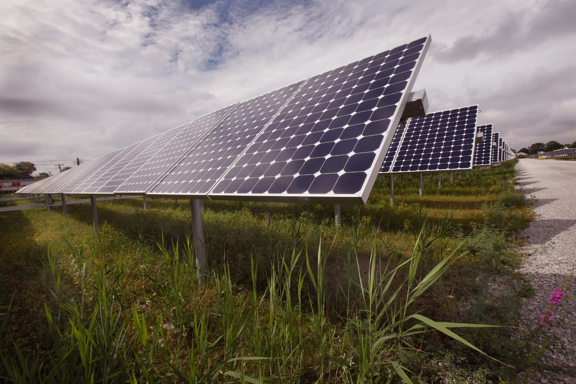 CHICAGO - SEPTEMBER 01:  Solar photovoltaic panels generate electricity at an Exelon solar power facility on September 1, 2010 in Chicago, Illinois. The 10-megawatt facility located on the city's south side is the largest urban solar installation in the United States. The 32,292 panels can generate more than 14,000 megawatt-hours of electricity per year, enough to meet the annual energy requirements of up to 1,500 homes.  (Photo by Scott Olson/Getty Images)