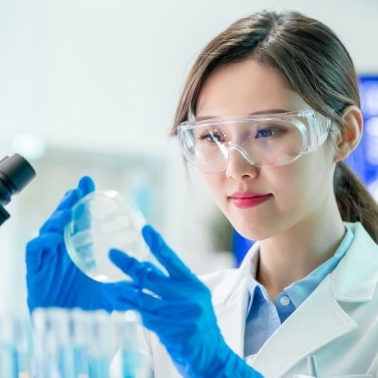 A researcher examining a petrie dish in a laboratory