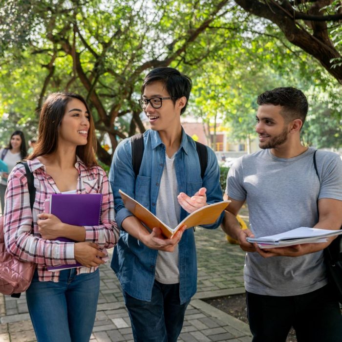 A group of students walking and talking outdoors on campus