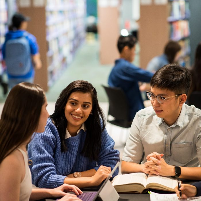 Students studying at UNSW Law Library