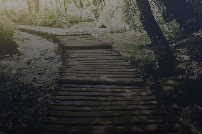 Stock image of a path through the forest