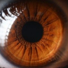 eye