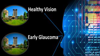 Image showing effects of glaucoma