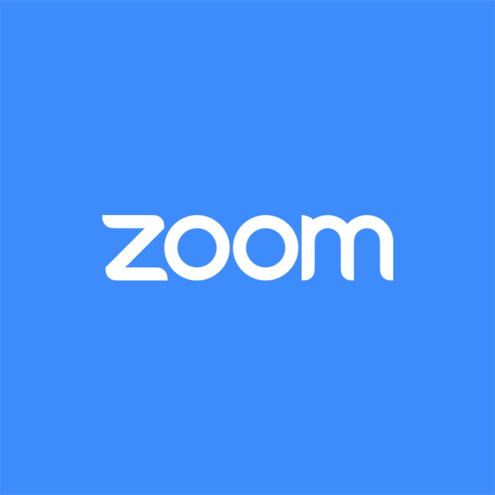 Zoom logo