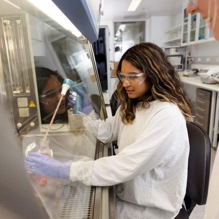 Students learning in the Medicine & Health facilities at the UNSW Kensington campus