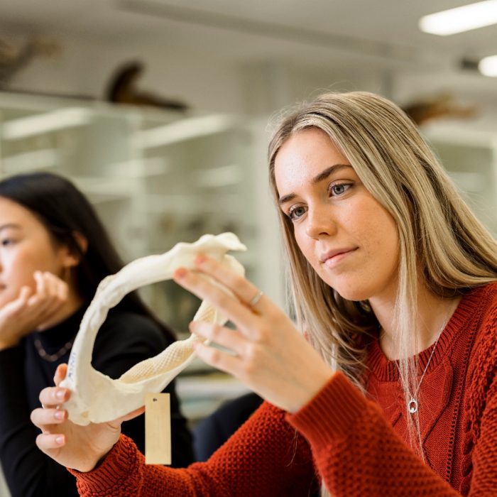 Students learning in the Science facilities at the UNSW Kensington campus