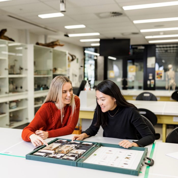 Students learning in the Science facilities at the UNSW Kensington campus