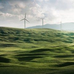 wind turbines in landscpae