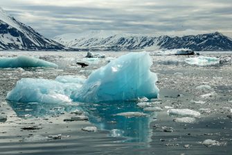  Ice floating in the ocean off the coast of Greenland