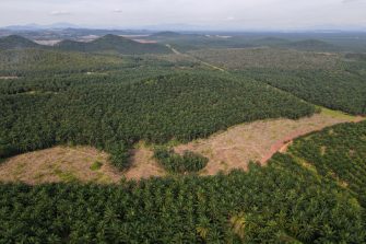 Aerial view land clearing at palm oil farm in Malaysia for replant