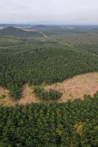 Aerial view land clearing at palm oil farm in Malaysia for replant