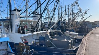 Fishing vessels lines up along a dock