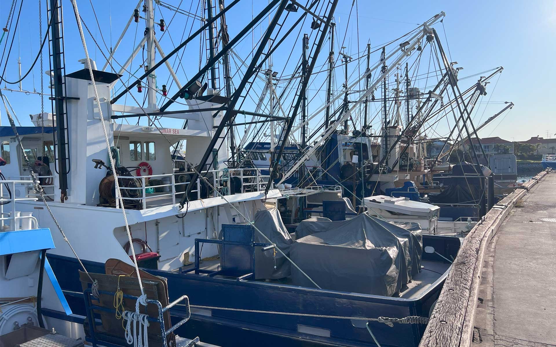 Fishing vessels lines up along a dock