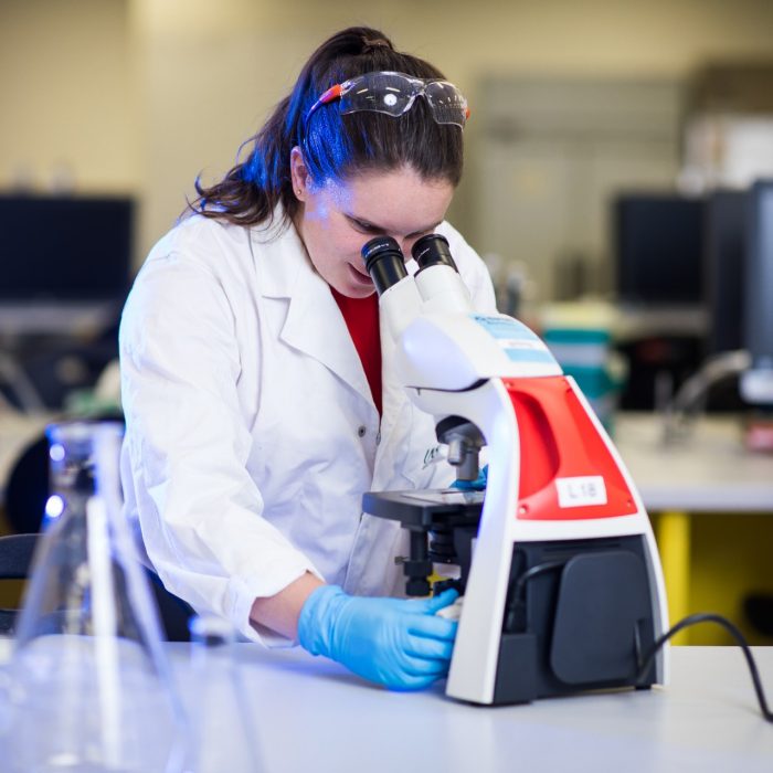 Photograph of students using microscope