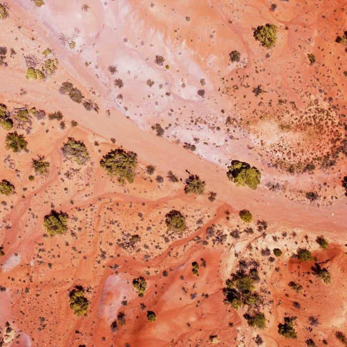 Overhead view of desert landscape with shrubs