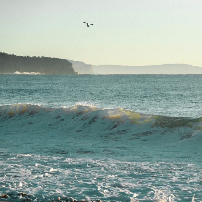 Coastal Ocean