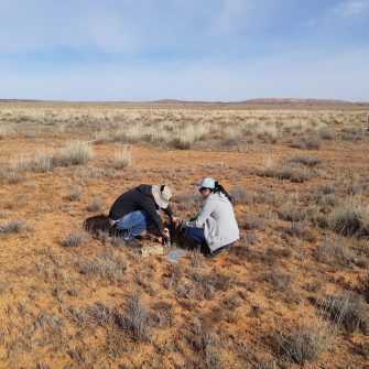 2024-07-essrc-research_soil_core_sampling.jpg