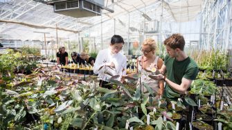 Photograph of science students in a garden centre