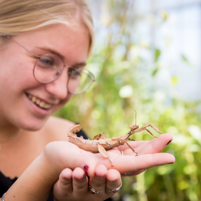 Students in the School of Biological, Earth and Environmental Sciences Glasshouse inspecting plants