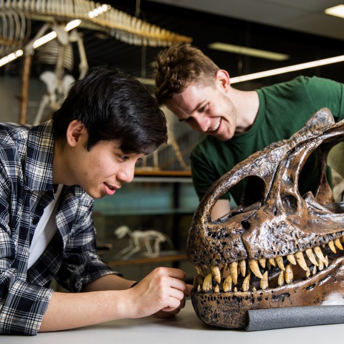 Palaentology students and bones